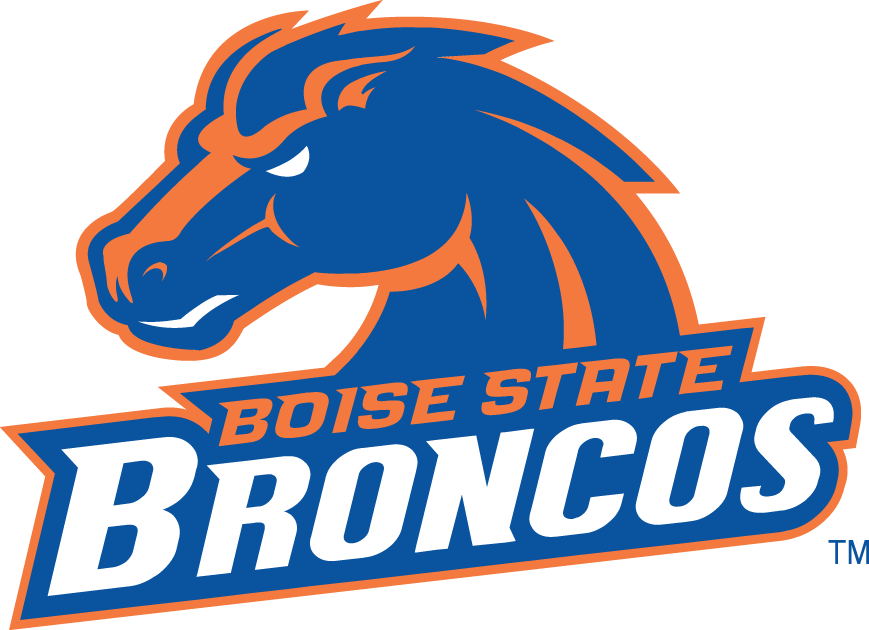 Boise State Broncos 2002-2012 Alternate Logo v2 iron on transfers for fabric